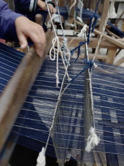 開(kāi)始看樹(shù)逛田的設(shè)計(jì)師們