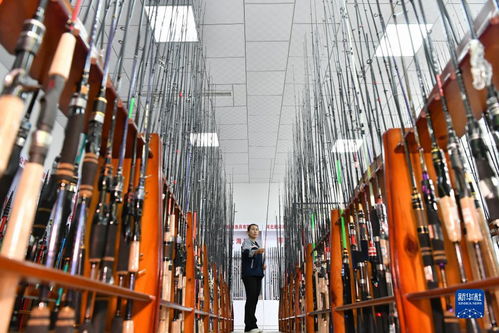 河北肅寧 小魚竿 釣出 國(guó)際大市場(chǎng)